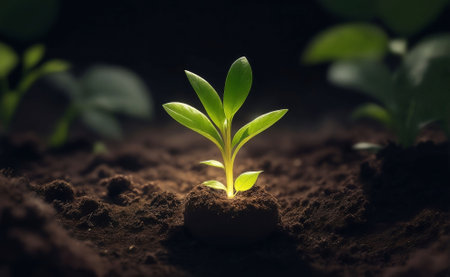A little green plant growing on a black soil, Generative AI Illustration.の素材