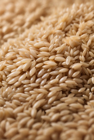 A premium white Thai jasmine rice.の素材