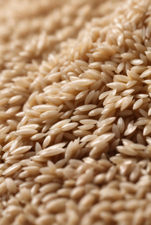 A premium white Thai jasmine rice.の素材