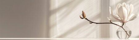A delicate magnolia flower stands elegantly in a clear glass vase on a white table, creating a minimalist aesthetic.の素材