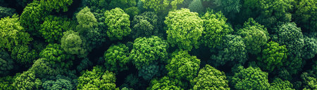 An aerial view capturing a forest canopy that forms a natural recycle symbol, embodying environmental sustainabilityの素材