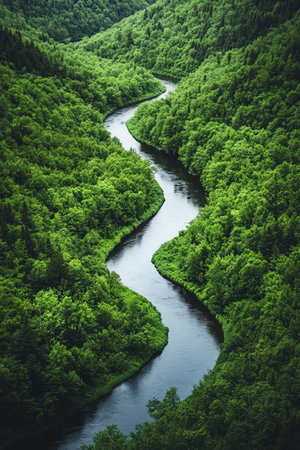 Serene winding river through a lush, green forest landscapeの素材