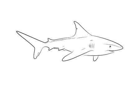 Fat Cartoon Chef Flat Vector Illustration Designのイラスト素材