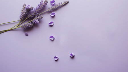 Lavender flowers on a purple background. Place for text.の素材