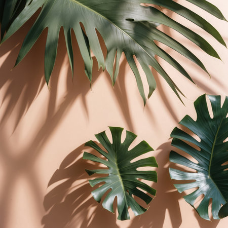 Creative layout made of monstera leaves on beige background. Flat lay, top view minimal summer concept.の素材