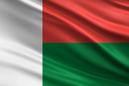 Madagascar Flag Weaving on Silk Fabricの写真素材