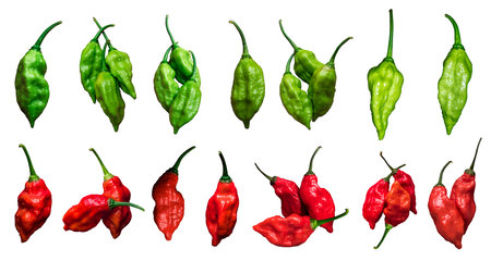 Red and green fresh chili peppers isolated on a white or transparent background, Set of red and...