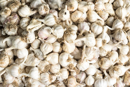 Garlic in the market - closeup of a pile of garlicの写真素材