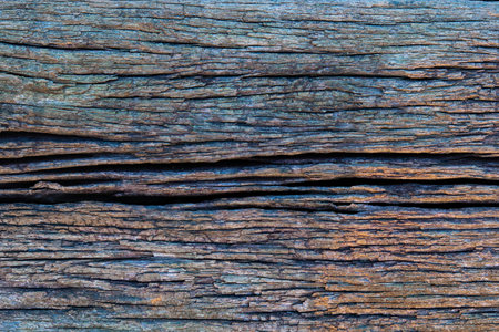 Old wood texture background. Wood surface