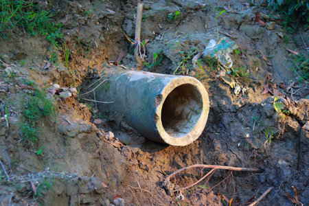 Drainage pipe on the ground in the forestの写真素材