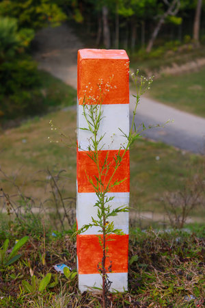 Orange and white road marker pillar with wild flowers growing besideの写真素材