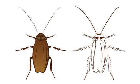 Cockroach or Blattodea Vector Illustration Fill and Outline Isolated on White Background. Insects Bugs Worms Pest and Flies.Entomology or Pest Control Business graphic elements.のイラスト素材