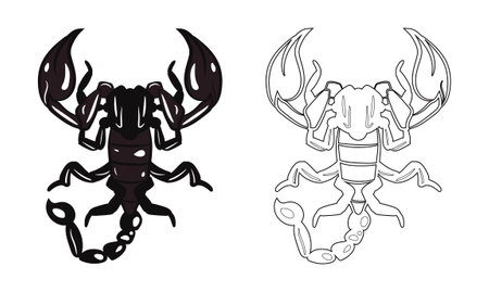 Realistic Top View of Scorpion. Isolated on White Background. Insects Bugs Worms Pest and Flies.のイラスト素材