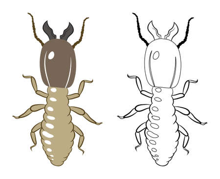 Termite 2d Vector Clipart. Insects Bugs Worms Pest and Flies Isolated.のイラスト素材