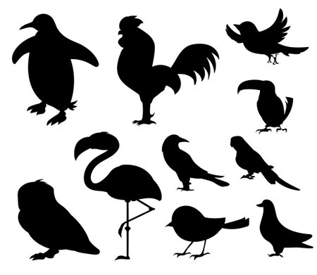 Birds from Different parts of World. Common Birds. Penguin Chicken Sparrow Dodo Bird Pigeon Duck Swan Owl Crow. Black Bird Silhouette Against White Background No Sky. Free Vectorのイラスト素材