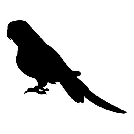 Pigeon Standing with Shadow. Black Bird Silhouette Against White Background No Sky. Free Vectorのイラスト素材