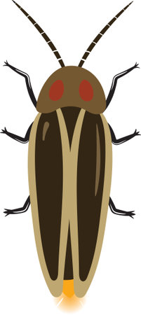 Realistic Firefly Top View Illustration. Isolated Insectsのイラスト素材