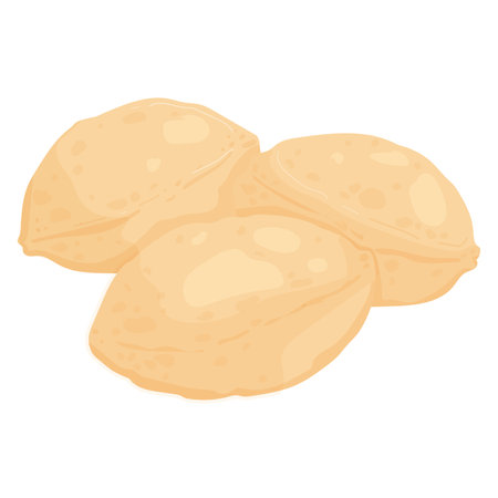 Indian Food Kachori Vector Illustration.のイラスト素材
