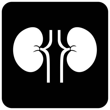 Kidney icon black and white fllat vector illustrationのイラスト素材