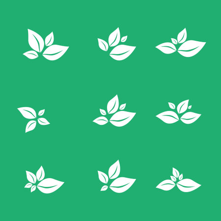 Eco leaf logo. Simple linear leaves of trees and plants. Elements for eco-friendly and biological logo, vegan. A collection of leavesのイラスト素材