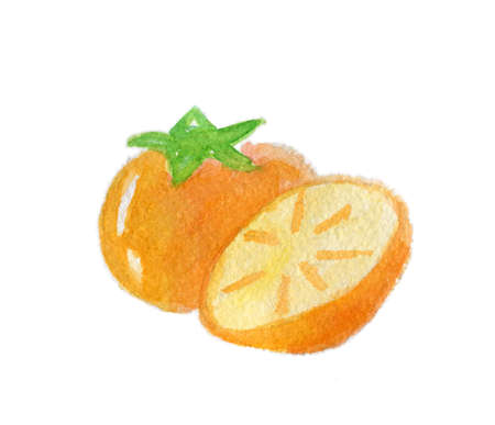 Hand drawn watercolor painting , isolated on white background. Illustration of an orange , a half orange and green leafの写真素材