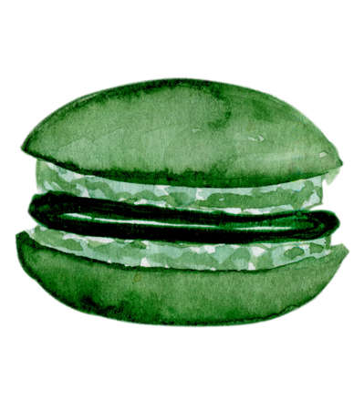 Watercolor macaroon green. Illustrationの写真素材