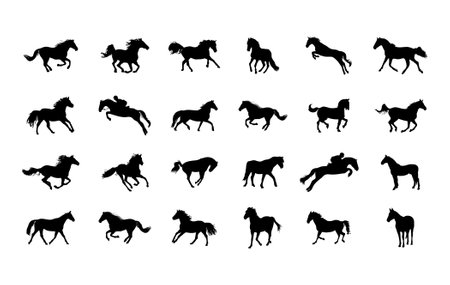 Collection of Horse Silhouettes in Black on White Backgroundのイラスト素材