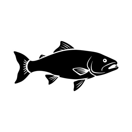 Salmon Fish Vector Artwork Icon illustration with white backgroundのイラスト素材