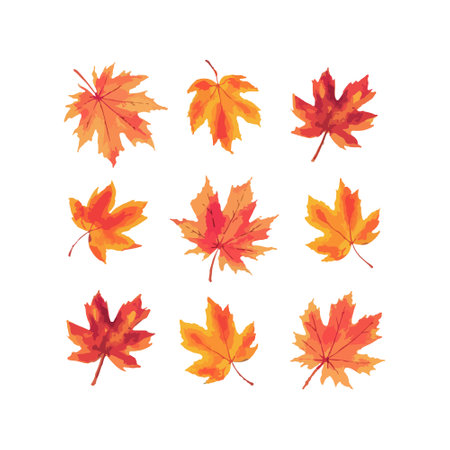 Beautiful Watercolor Leaves of Autumn Vectorのイラスト素材