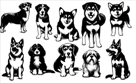 set of black and white dogs isolated on white background. vector illustrationのイラスト素材