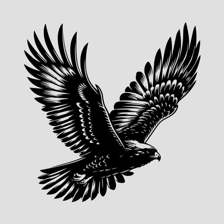 Eagle flying in the sky. Black and white vector illustration.のイラスト素材