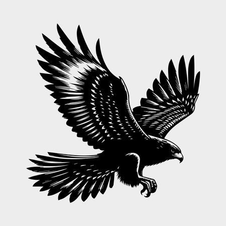 Eagle in flight. Black and white illustration for tattoo or t-shirt design.のイラスト素材