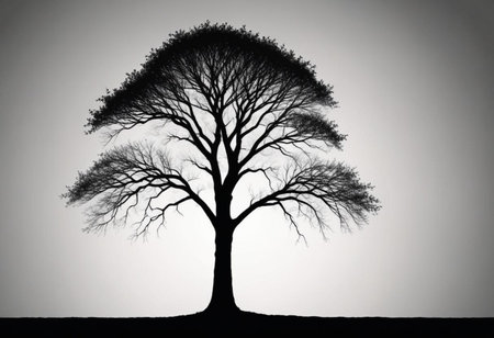 Silhouette of a bare tree on a gray background with copy spaceの素材