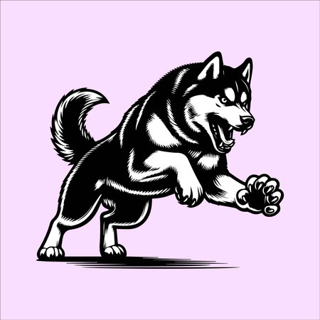 Siberian husky. Vector illustration on a pink background.のイラスト素材
