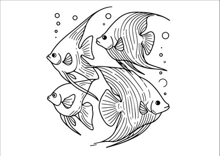 Illustration of a group of fish in a line art style.のイラスト素材