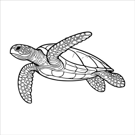 Turtle coloring page for adults. Black and white vector illustration.のイラスト素材