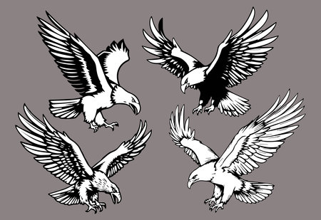 eagle collection in black and white vector format very easy to editのイラスト素材