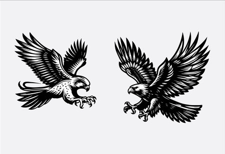 eagle tattoo design on white background, vector illustrationのイラスト素材
