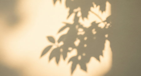 Shadow of leaves on a white wall. Shallow depth of field.