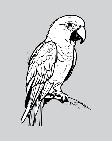 Parrot on a branch. Vector illustration in black and white.のイラスト素材