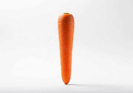 Carrot isolated on white background, studio shot. Healthy food concept.の写真素材