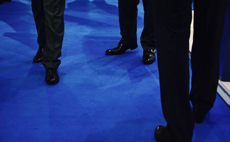 Business Men in Suits Standing on a Blue Carpetの写真素材