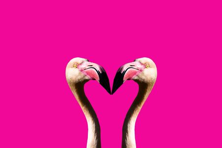 3D illustration of pink flamingos facing each other with pink background