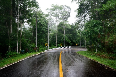 wet road 