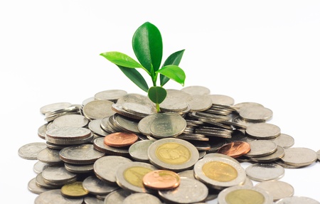 little plant growing from pile of coins の写真素材
