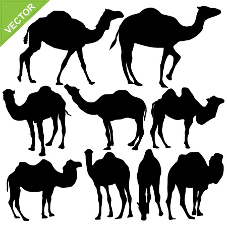 Camels silhouettes collectionsのイラスト素材