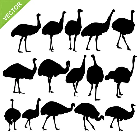 Ostrich silhouettes collectionsのイラスト素材