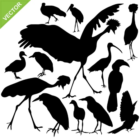 Bird silhouettesのイラスト素材