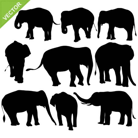 Elephant silhouettes vector collectionsのイラスト素材
