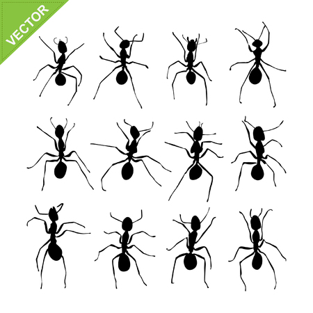 Ant silhouettesのイラスト素材